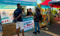TO : "Out zanimo, okip a li", une initiative pour lutter contre l'abandon animale