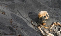 Cimetières d\'esclaves