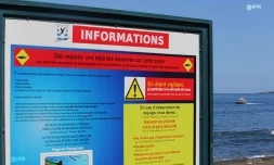 Attaque requin l\'Etang-Salé