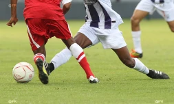 Foot