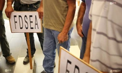 FDSEA