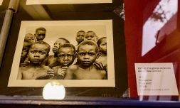 Département : la photographie à l'honneur avec les "Miroirs Indianocéaniques"