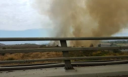 Incendie dans le lit de la Rivière Saint-Etienne : 5 hectares brûlés