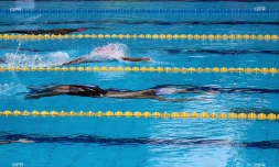 natation 