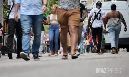 population démographie