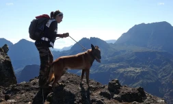 Recherches Mathieu Caizergues