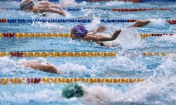 Championnats Natation Plateau Caillou