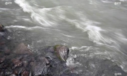 eau