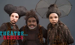 Théâtre sous les arbres