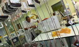 Etablissement Français du Sang