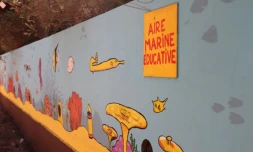 Inauguration du panneau Aire Marine Éducative à l’Hermitage-les-Bains