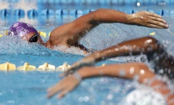 Natation