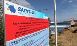 Panneaux requins