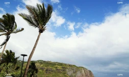 météo réunion 
