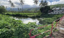 Territoire de l'Ouest : des travaux à la Ravine Bernica afin de réduire les risques d'inondations