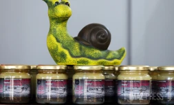 Foire agricole de Bras Panon 