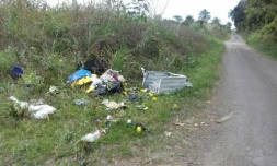 relevé band cochon 2 novembre 2019