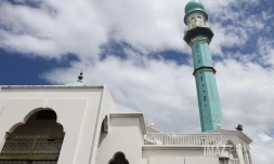 mosquée de saint-louis 