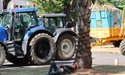 opération escargot planteurs