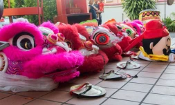 Nouvel an chinois 2017