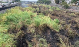 Saint-Denis : feu de broussailles à Bas de la Rivière, pas de risque pour les habitants