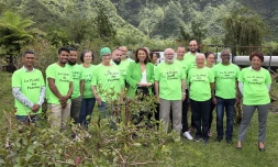 Sophie Arzal candidature Plaine des Palmistes