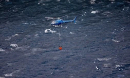 Incendie, Grand brûlé, Sainte-Rose, feu, végétation