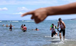 swim run 2019