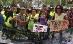 Emplois verts