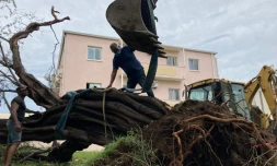 pié zépinar au port, opération de sauvetage après le cyclone batsirai