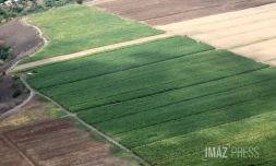terrain agricole ouest 