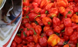 Marché forain en couleur 