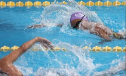 natation meeting de qualification mars 2019