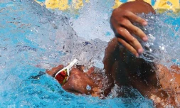 natation 