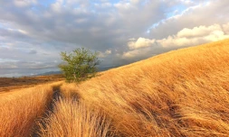 Ateliers savane en juin 2021 à Saint-Paul