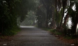 fortes pluies dans l'est