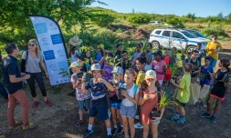 Saint-Leu : une nouvelle forêt indigène prend forme à la Savane du Grand Stella