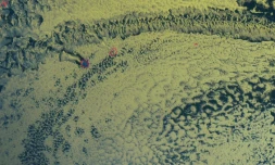 Anticyclone : une structure atmosphérique en forme de "peau de léopard"