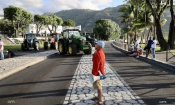 mobilisation planteurs