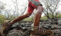 Trail