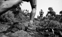 Trail