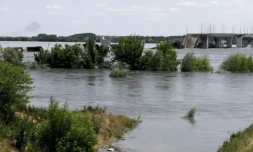 Des zones inondées près le ville de Kherson après la destruction partielle du barrage de Kakhovka, dans le sud de l'Ukraine, le 6 juin 2023 ( AFP / Oleg TUCHYNSKY )