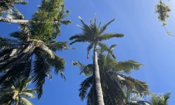 Météo Réunion