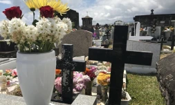 Toussaint, cimetière, fleurs, croix