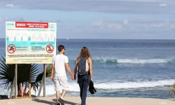 panneaux requins plage  Roches noires 