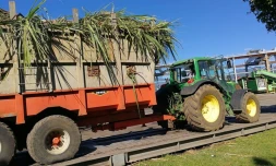 Tensions à la balance de cannes de Beaufonds