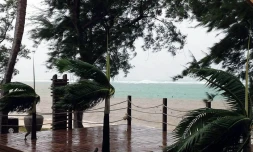 Perturbation - Bansi