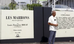 Inauguration fresque "les marrons" Saint-Denis