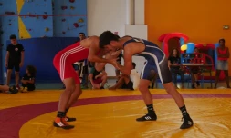 Samedi 3 février 2018 s\'est tenu le tournoi international de lutte libre dans la ville de Wolfurt en Autriche dans la catégorie cadet et junior. Six réunionnais, sélectionnés en équipe de France, ont participé à cette compétition. Deux d\'entre eux sont repartis avec des médailles de bronze. Le comité régional de lutte de La Réunion se satisfait des bons résultats de ses athlètes péi.