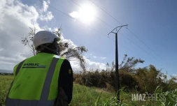 Saint-Benoît : grâce aux travaux d'EDF, 1.500 foyers vont recouvrer la lumière